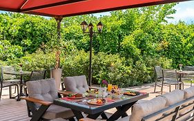 Ibis Bursa